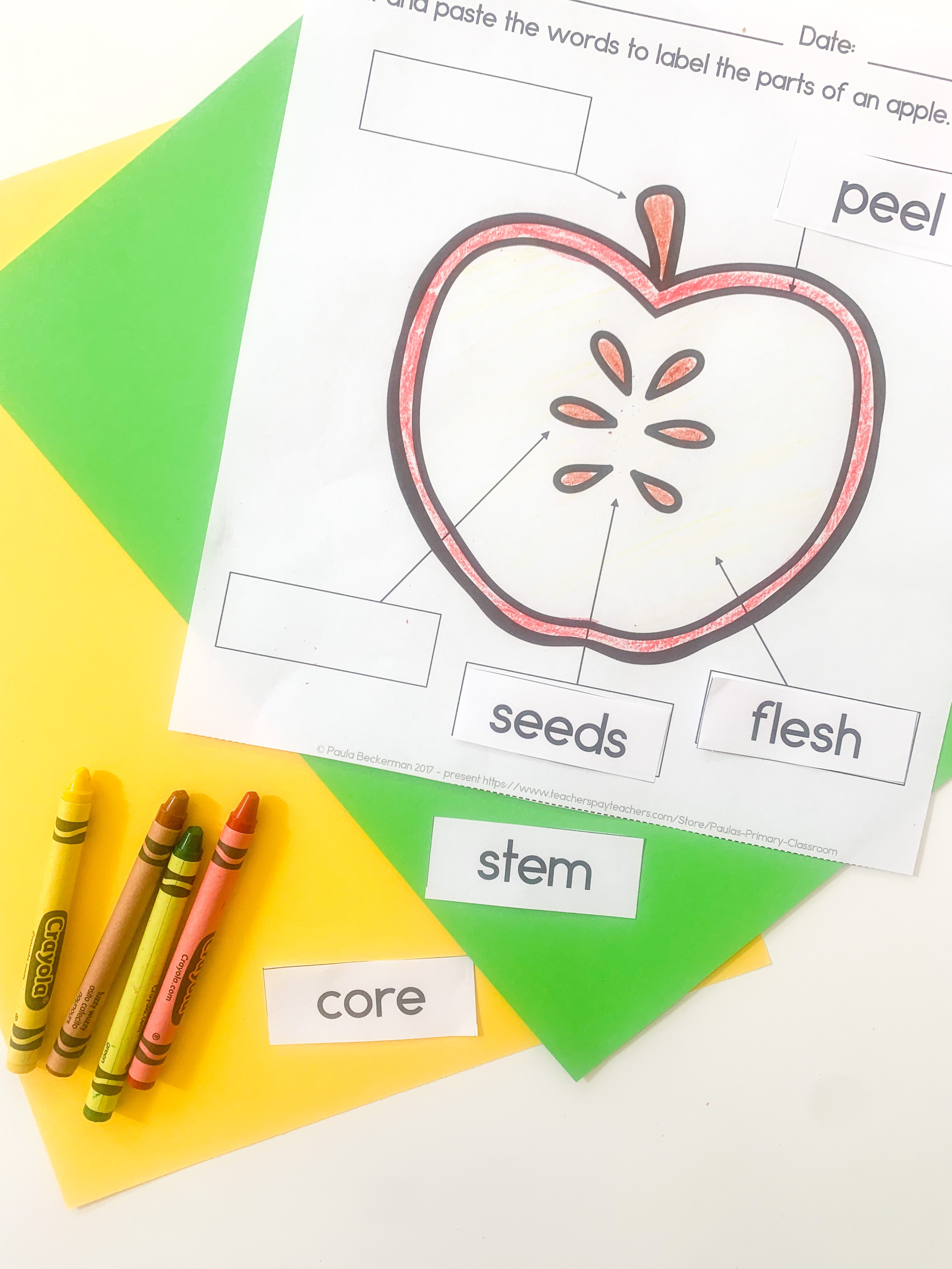 APPLE Themed Lesson Plans for Speech Therapy: Elementary (K-5th