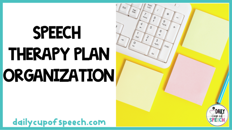 speech-therapy-lesson-plan-organization